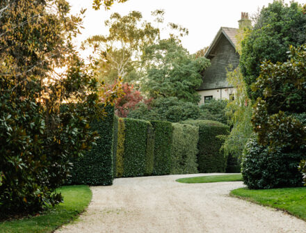 WombatParkEstate_Autumngarden-014