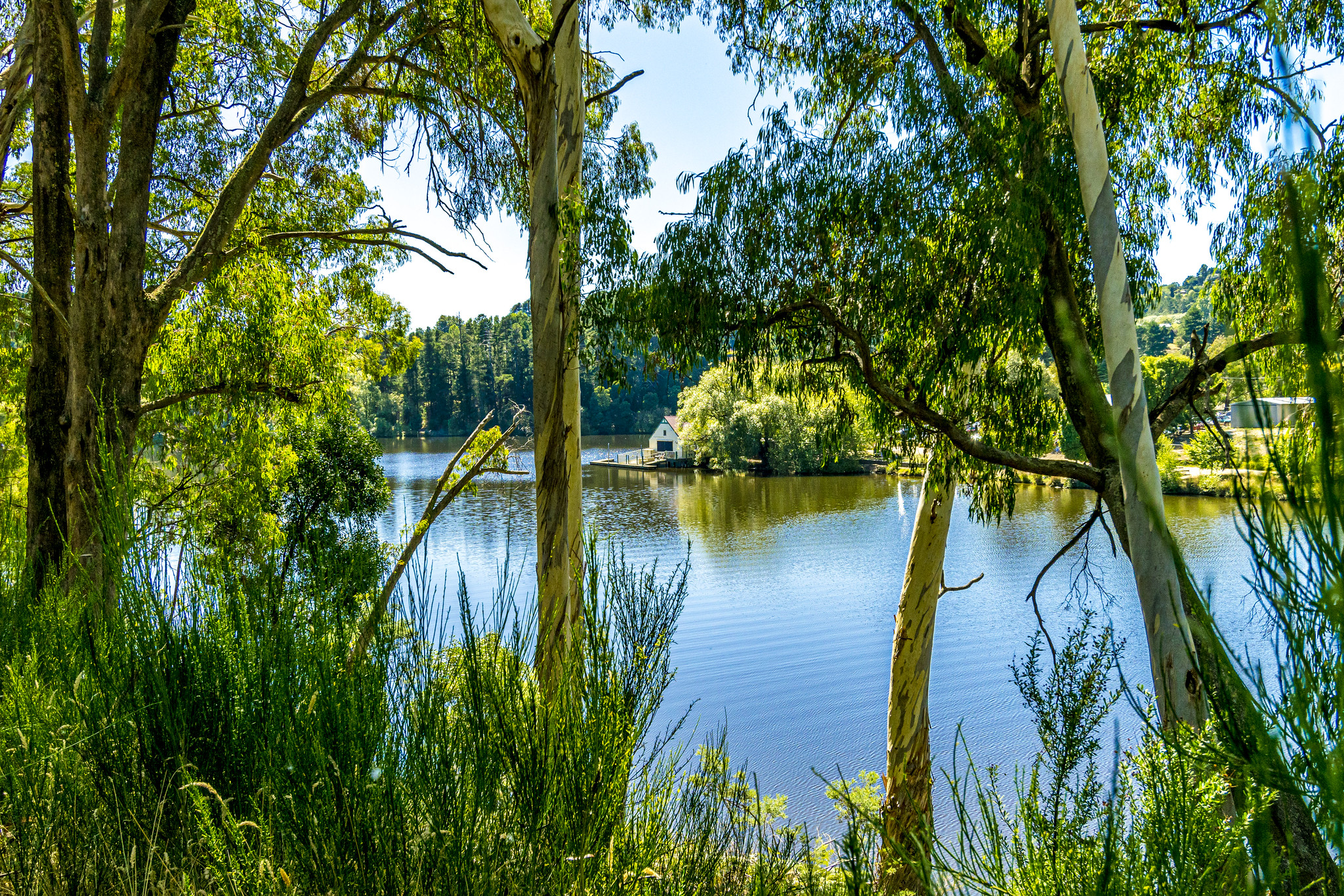 Lake Daylesford